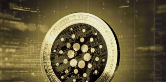 Cardano