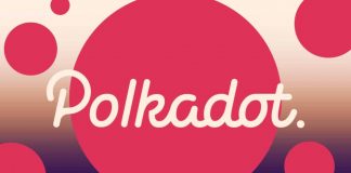 Polkadot