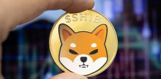 Shiba Inu