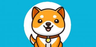 BabyDoge